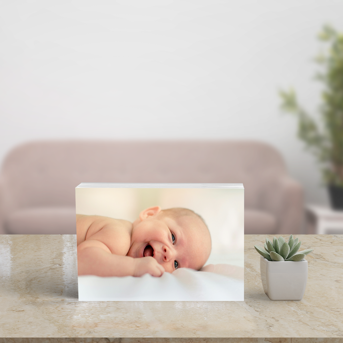 Light panel