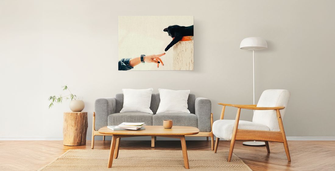 living room iluminado, lienzo en la pared con la imagen de un gato negro y la mano de la dueña imitando La Creación de Adán de Miguel Ángel
