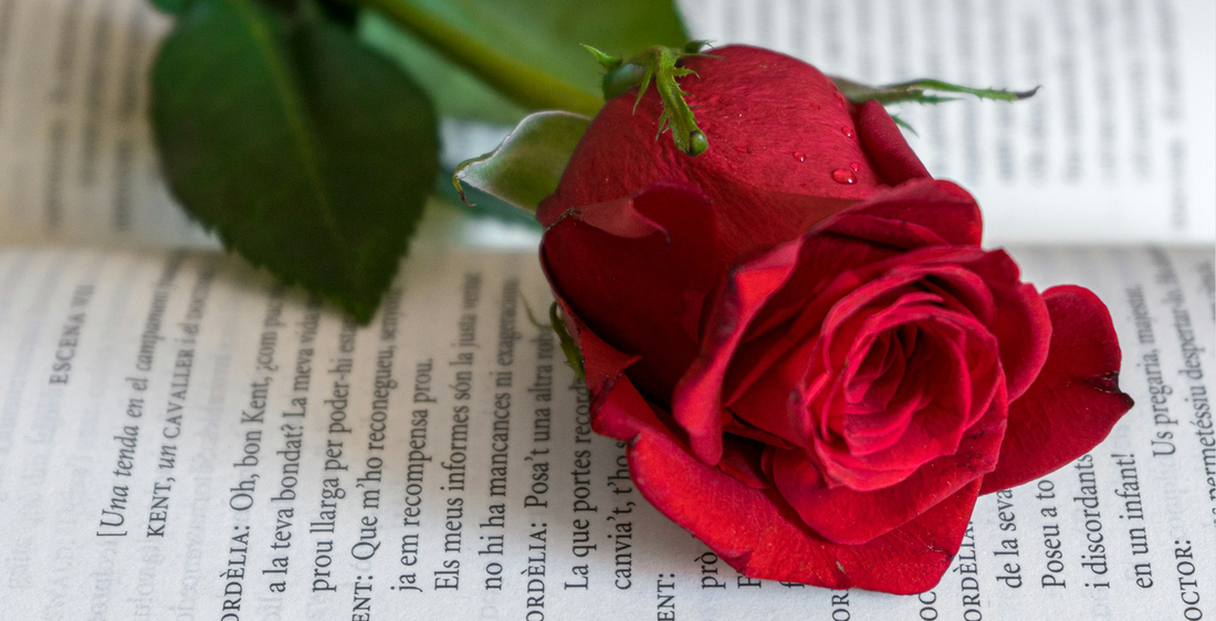 Ideas de Regalos originales para Sant Jordi 2025