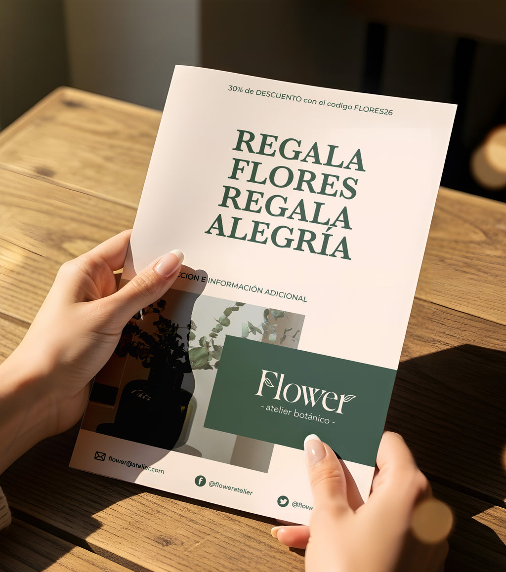 Flyers publicitarios