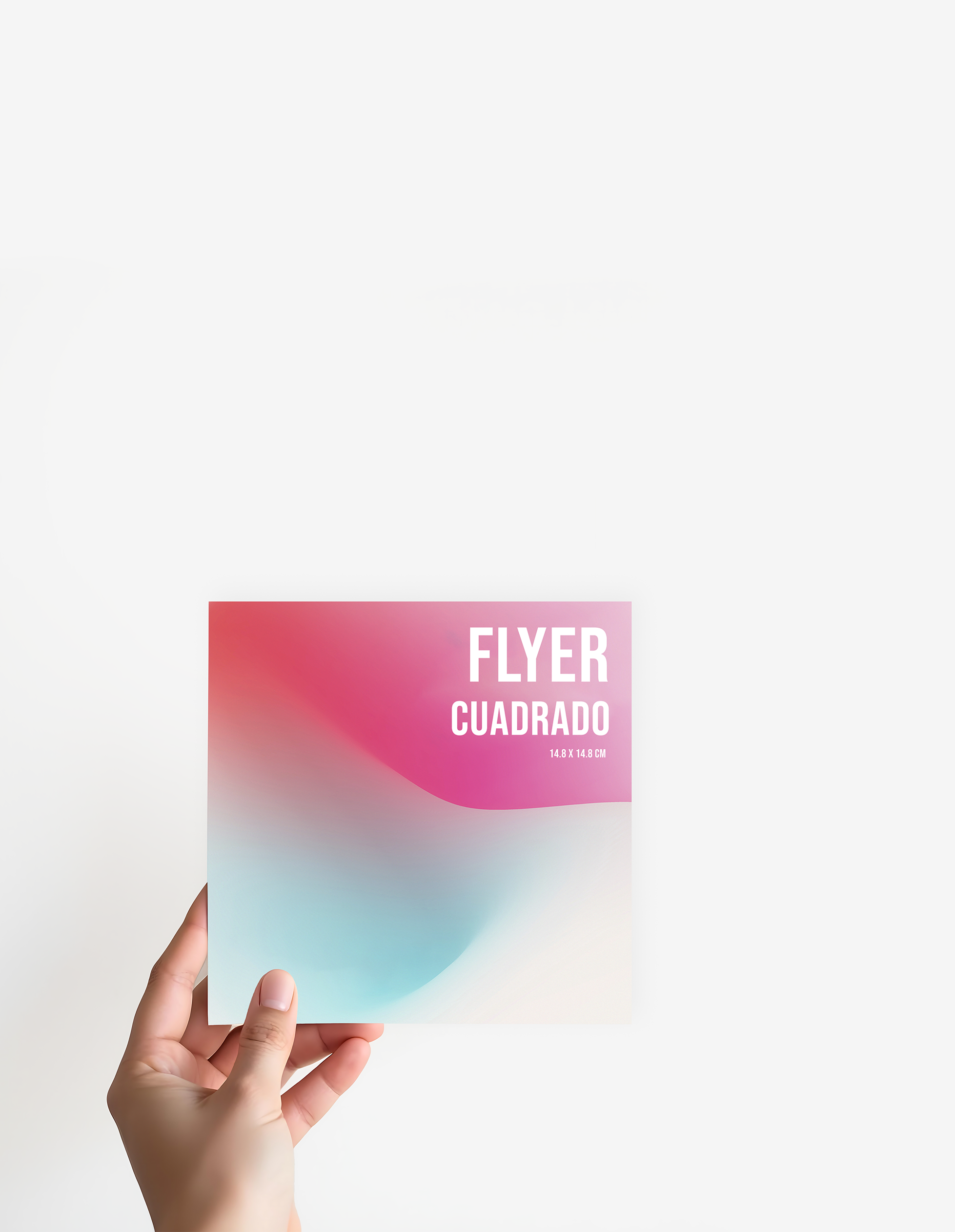 Flyers publicitarios
