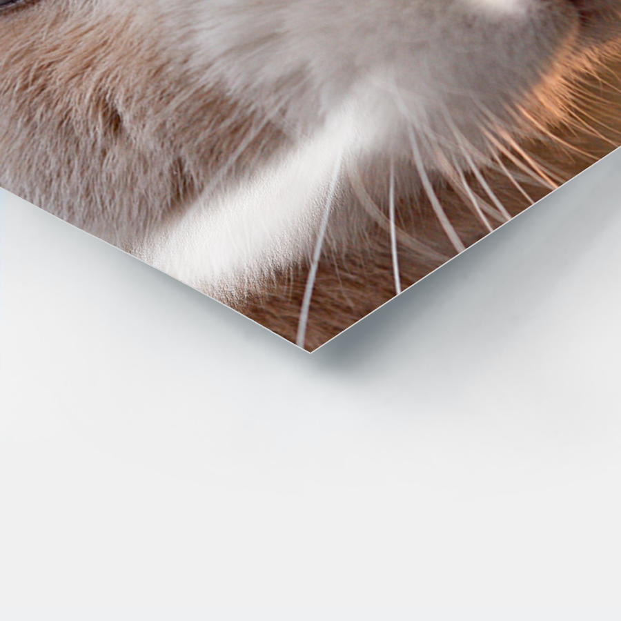 Ampliación fotográfica