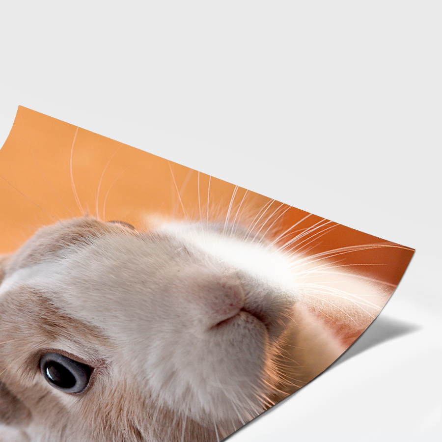 Ampliación fotográfica